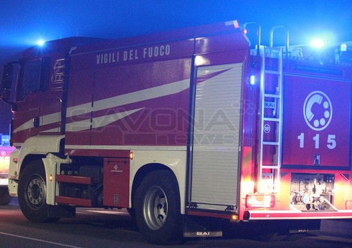 Savona, crolla grosso albero in via Nostra Signora del Monte: vigili del fuoco al lavoro