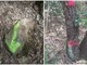 “Vandali del territorio” ancora in azione nel Finalese. Vernice fluorescente e segnaletica “fai da te” sui sentieri della Caprazoppa