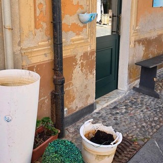 Albisola, vandali rompono il vaso di una pizzeria. Il titolare: &quot;Stanchi di subire danni economici e stress a causa dei soliti noti&quot;