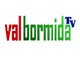 Arriva in streeming Valbormida TV nata da un progetto di Roberto Zunino e Luca Ferretti Arriva in streeming Valbormida TV nata da un progetto di Roberto Zunino e Luca Ferretti
