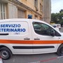 Riforma della sanità, la Federazione Veterinari e Medici proclama lo stato di agitazione: "Serve un confronto sulla riorganizzazione"