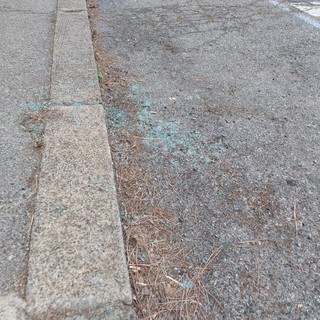 Albisola, raid vandalici in via Sisto IV e via San Pietro: rotti i finestrini di una decina di auto Albisola, raid vandalici in via Sisto IV e via San Pietro: rotti i finestrini di una decina di auto