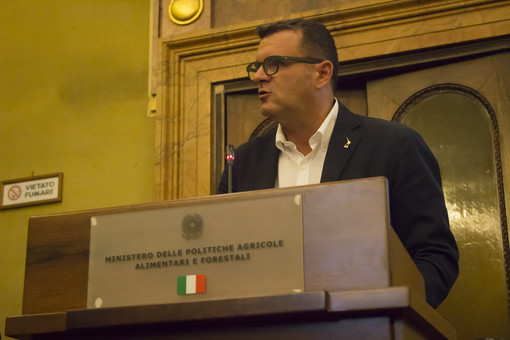 Vendemmia 2018, Coldiretti: "annata più equilibrata con un quantitativo d’uva maggiore"