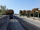 Albenga, sicurezza stradale 'carente' in viale Che Guevara. Distilo: &quot;Il ripristino va monitorato&quot;
