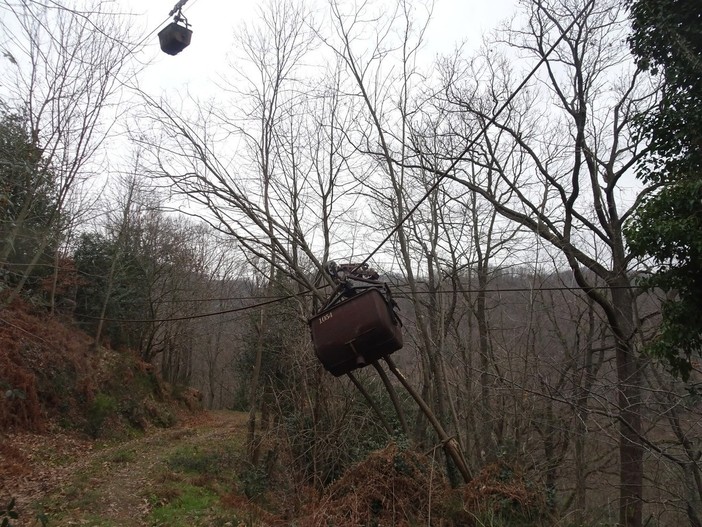 Foto Fulvio Michelotti