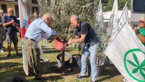 A Pontida il tributo a Bossi: Calderoli e Leoni piantano un ulivo e cantano 'Va pensiero'