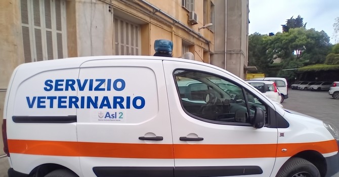 Riforma della sanità, la Federazione Veterinari e Medici proclama lo stato di agitazione: "Serve un confronto sulla riorganizzazione" Riforma della sanità, la Federazione Veterinari e Medici proclama lo stato di agitazione: "Serve un confronto sulla riorganizzazione"