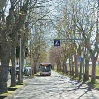 Abbattimento degli alberi in via Quiliano, dal 3 novembre senso unico alternato sulla Sp58 Abbattimento degli alberi in via Quiliano, dal 3 novembre senso unico alternato sulla Sp58