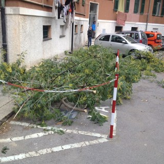 immagine di repertorio