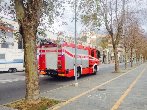 immagine di repertorio