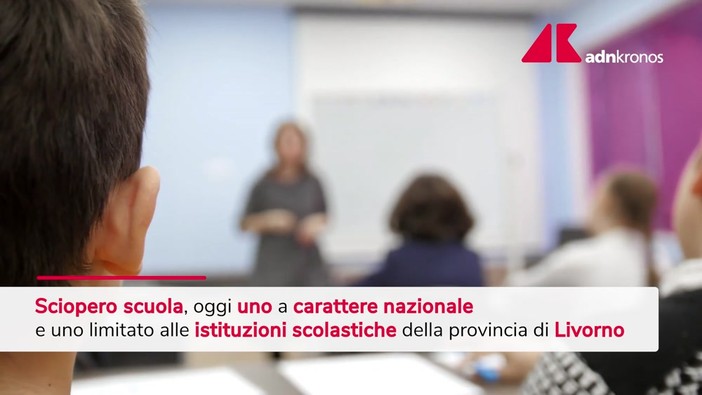 Sciopero della scuola, oggi le manifestazioni Sciopero della scuola, oggi le manifestazioni