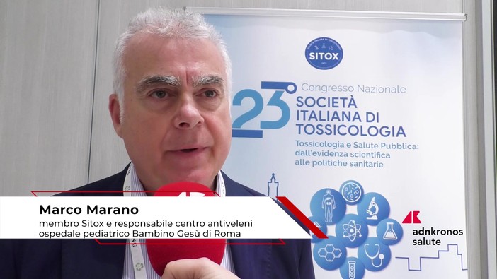 Estate: tossicologo Marano, 'morso di vipera raro, ma pericoloso per i bambini'