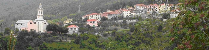 Incidente agricolo a Vezzi Portio Incidente agricolo a Vezzi Portio