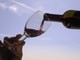 Albenga: controlli a carico delle aziende vitivinicole, proposta la riduzione dei costi del 30 per cento
