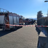 Savona, cade il fogliame di una palma al Prolungamento: intervento di vigili del fuoco e polizia locale