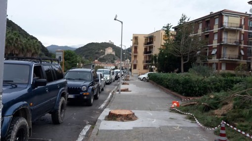 Il serpentone di auto in via Dante questa mattina, 29 ottobre Il serpentone di auto in via Dante questa mattina, 29 ottobre