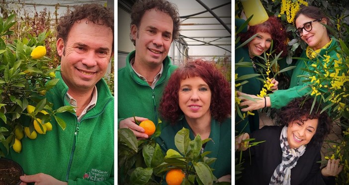 Alla Floricoltura Vivai Michelini di Borghetto marzo è tempo di agrumi e mimose, con tantissime specie e varietà disponibili Alla Floricoltura Vivai Michelini di Borghetto marzo è tempo di agrumi e mimose, con tantissime specie e varietà disponibili