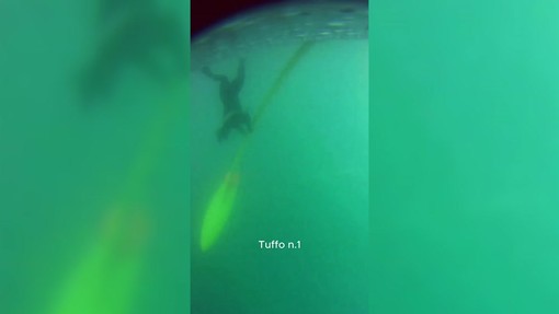 Vendée Arctique, lo skipper Beccaria si tuffa per liberare la barca da una rete Vendée Arctique, lo skipper Beccaria si tuffa per liberare la barca da una rete