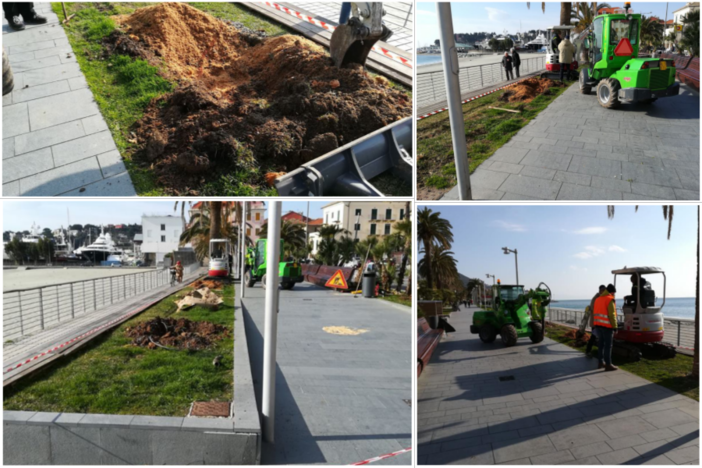 Varazze, al via i lavori sul lungomare per la riqualificazione del verde pubblico (FOTO e VIDEO)