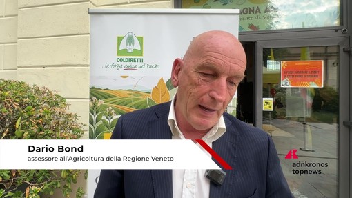 Tabacco, Bond (Regione Veneto): "Con accordo di filiera reddito e sicurezza agli agricoltori"