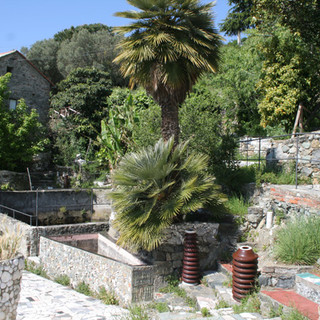 Voxonus Albissola Marina, venerdì inizia il Festival