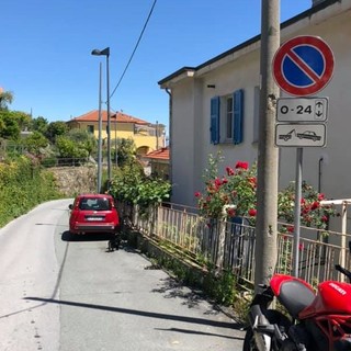 Savona, posizionati nuovi divieti di sosta su via Bellavista, la rabbia dei residenti: "E ora dove posteggeremo le auto?"