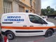 Riforma della sanità, la Federazione Veterinari e Medici proclama lo stato di agitazione: "Serve un confronto sulla riorganizzazione"