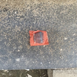 Albenga, veleno per topi lasciato in un vicolo del centro storico: "Un pericolo per cani, gatti e persone"