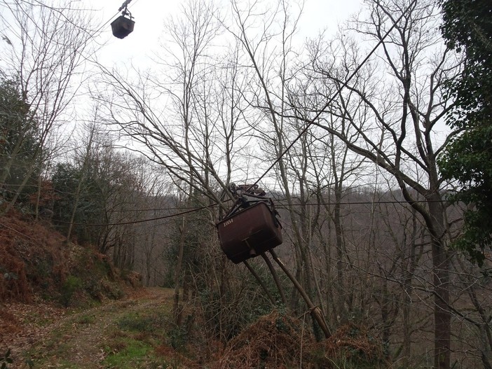 Foto scattata da Fulvio Michelotti