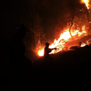 Antincendio boschivo: al via la formazione specialistica in operatori di bonifica per volontari Aib e vigili del fuoco