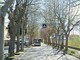 Abbattimento degli alberi in via Quiliano, dal 3 novembre senso unico alternato sulla Sp58