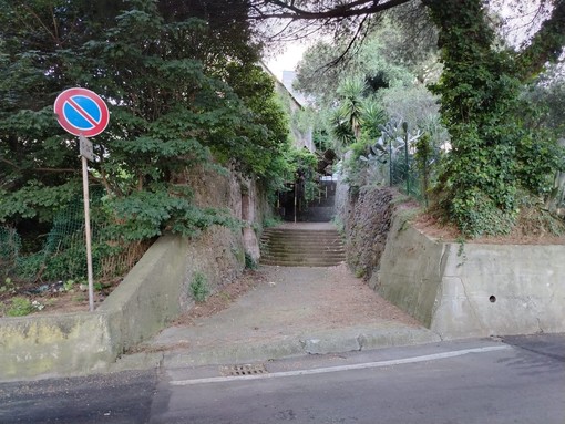 26enne accoltellata in via Bresciana, il testimone-soccorritore: "Urlava chiedendo aiuto. Abbiamo tamponato la ferita aspettando i soccorsi" 26enne accoltellata in via Bresciana, il testimone-soccorritore: "Urlava chiedendo aiuto. Abbiamo tamponato la ferita aspettando i soccorsi"