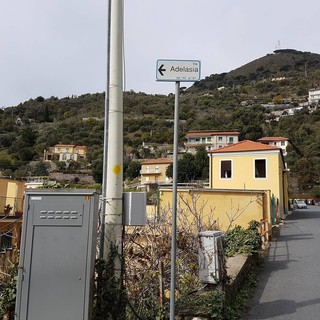 Alassio, tornata la luce in via Adelasia: a causare il guasto il ramo di un grande albero Alassio, tornata la luce in via Adelasia: a causare il guasto il ramo di un grande albero