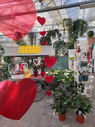A San Valentino la Liguria si riempie di cuori tra fiori, piante e agriturismi A San Valentino la Liguria si riempie di cuori tra fiori, piante e agriturismi