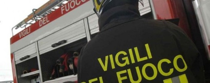 Caldo e sciami di api nell'albenganese: numerosi interventi dei vigili del fuoco Caldo e sciami di api nell'albenganese: numerosi interventi dei vigili del fuoco