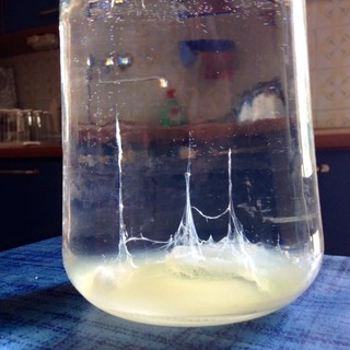 Tutti pronti questa sera a fare la Barca di san Pietro per avere le "previsioni" dell'anno