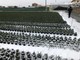 Albenga, gli agricoltori preoccupati dall'arrivo della neve