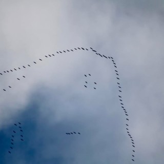 Foto Rossella Bozzano Foto Rossella Bozzano