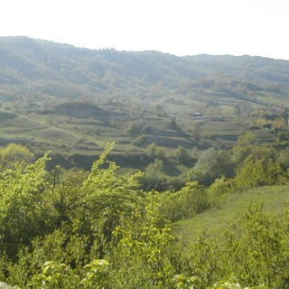 Al via la prima manifestazione del Comitato promotore Valle dell’Erro "Lo sport per tutti"