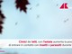 Cimici dei letti, in estate aumenta possibilità contatto