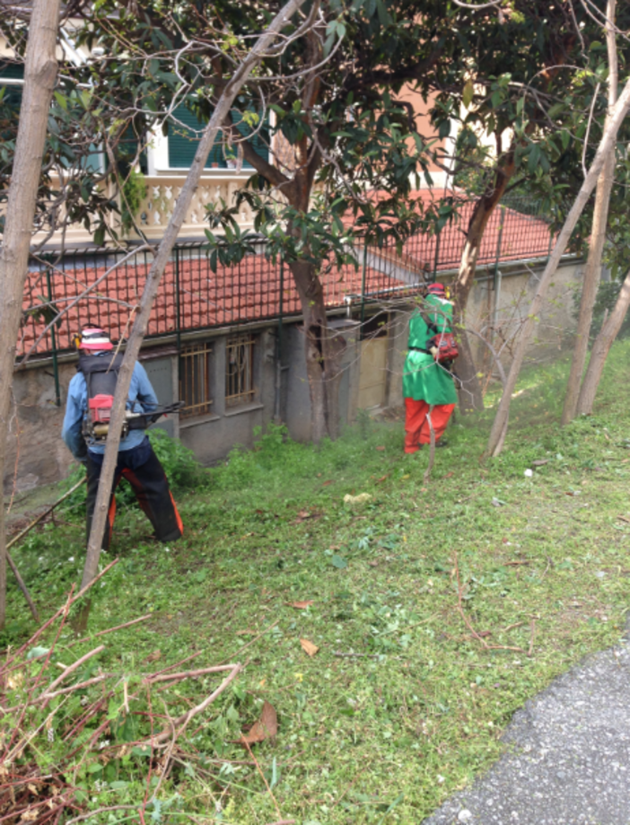 Pulizie di Primavera a Varigotti, Guzzi"Grazie ai volontari"
