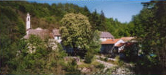 Immagine generica Immagine generica