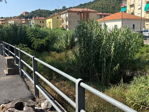 Sicurezza dei rii, Guzzi attacca l’Amministrazione di Finale: “Nessuna programmazione e nessuna visione”