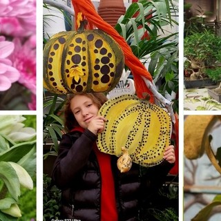 Borghetto S.S. Festa di San Martino alla Floricoltura Vivai Michelini: il cuore dell’autunno tra natura e tradizioni