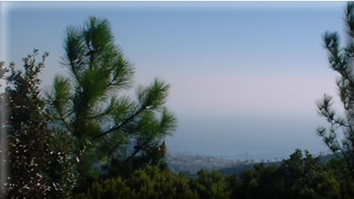 Vado: Vetrotex, maltempo e scuole in consiglio comunale Vado: Vetrotex, maltempo e scuole in consiglio comunale