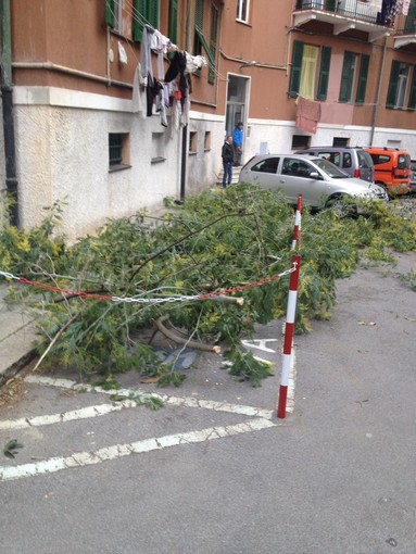 immagine di repertorio immagine di repertorio