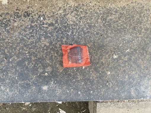 Albenga, veleno per topi lasciato in un vicolo del centro storico: "Un pericolo per cani, gatti e persone"