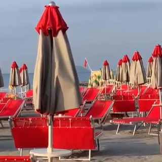 Una volpe in spiaggia: l'avvistamento a Loano tra sdraio e ombrelloni (VIDEO) Una volpe in spiaggia: l'avvistamento a Loano tra sdraio e ombrelloni (VIDEO)