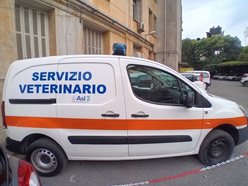 Riforma della sanità, la Federazione Veterinari e Medici proclama lo stato di agitazione: "Serve un confronto sulla riorganizzazione" Riforma della sanità, la Federazione Veterinari e Medici proclama lo stato di agitazione: "Serve un confronto sulla riorganizzazione"
