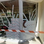 Savona, atto vandalico al bar La Cigale: rotte le vetrate (FOTO E VIDEO) Savona, atto vandalico al bar La Cigale: rotte le vetrate (FOTO E VIDEO)